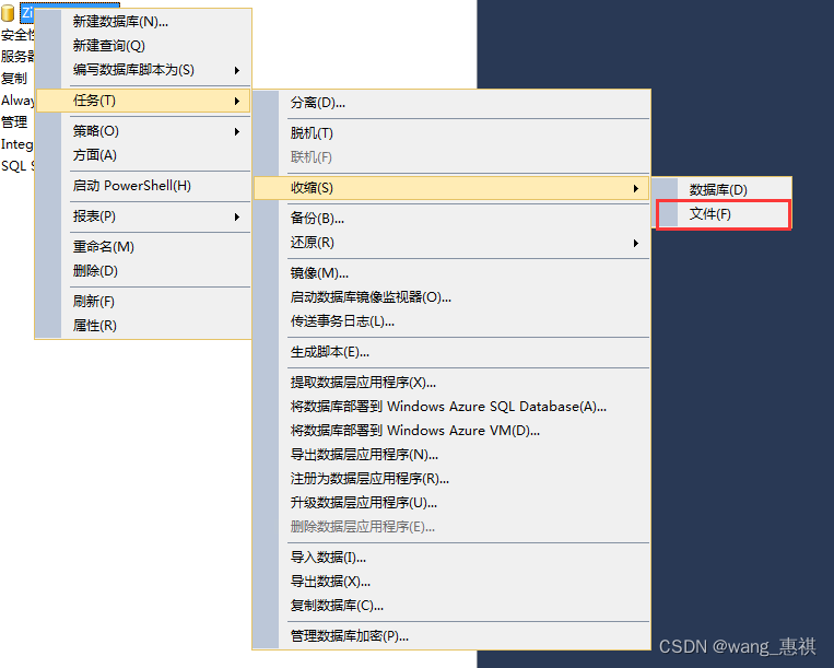 SQL server数据库日志文件收缩,第2张