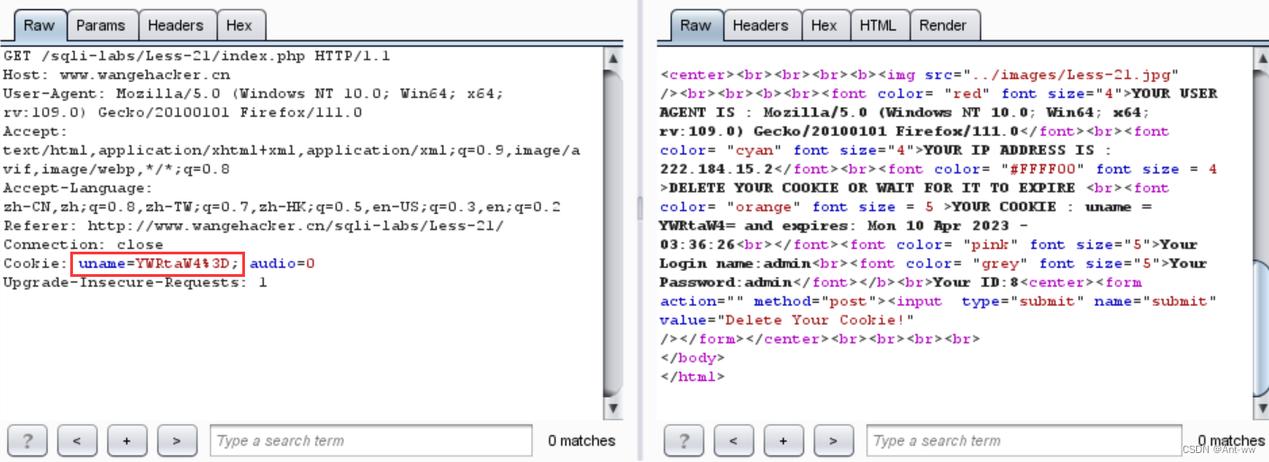 Sqli-lab教程-史上最全详解（1-22通关）,第55张
