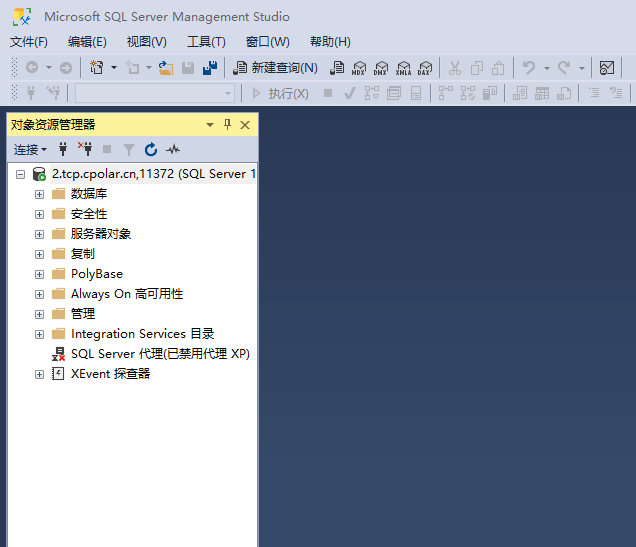 内网穿透实现在外远程SQL Server数据库 - Windows环境,2023011101108,第28张