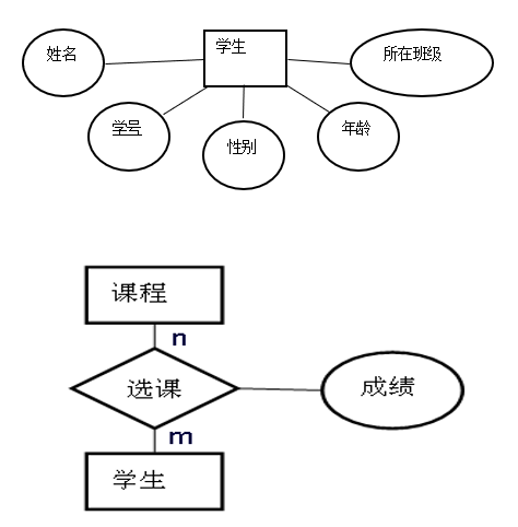 [MySQL]数据库原理2，三大范式，E-R图，DataBase，数据库管理系统（DBMS），Relationship，实体、属性、联系 映射基数，关系型数据库，联系的度数等——喵喵期末不挂科,第9张