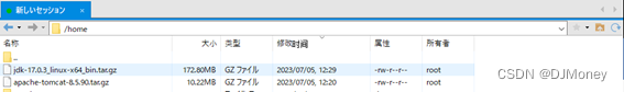 【Linux配置Tomcat和JDK】,在这里插入图片描述,第6张