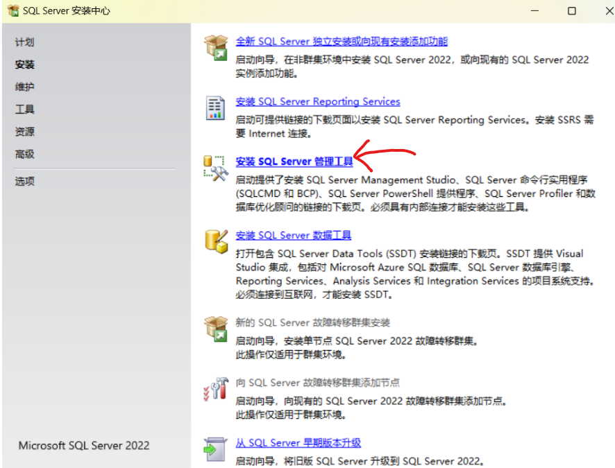 SQL Server2022版+SSMS安装教程（保姆级）,image-20230325152915226,第27张