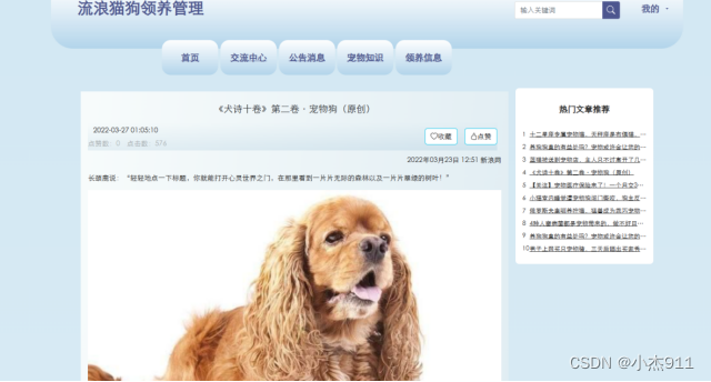 【毕业设计之java系列】基于springboot流浪猫狗领养管理系统,第1张