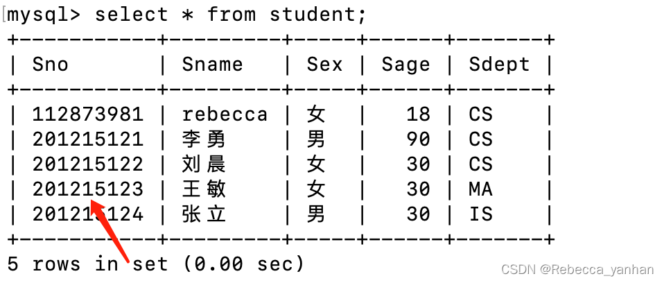 python后端程序：Flask连接数据库mysql，实现基本SQL增删改查（包含全部代码，可以跑通）,第11张