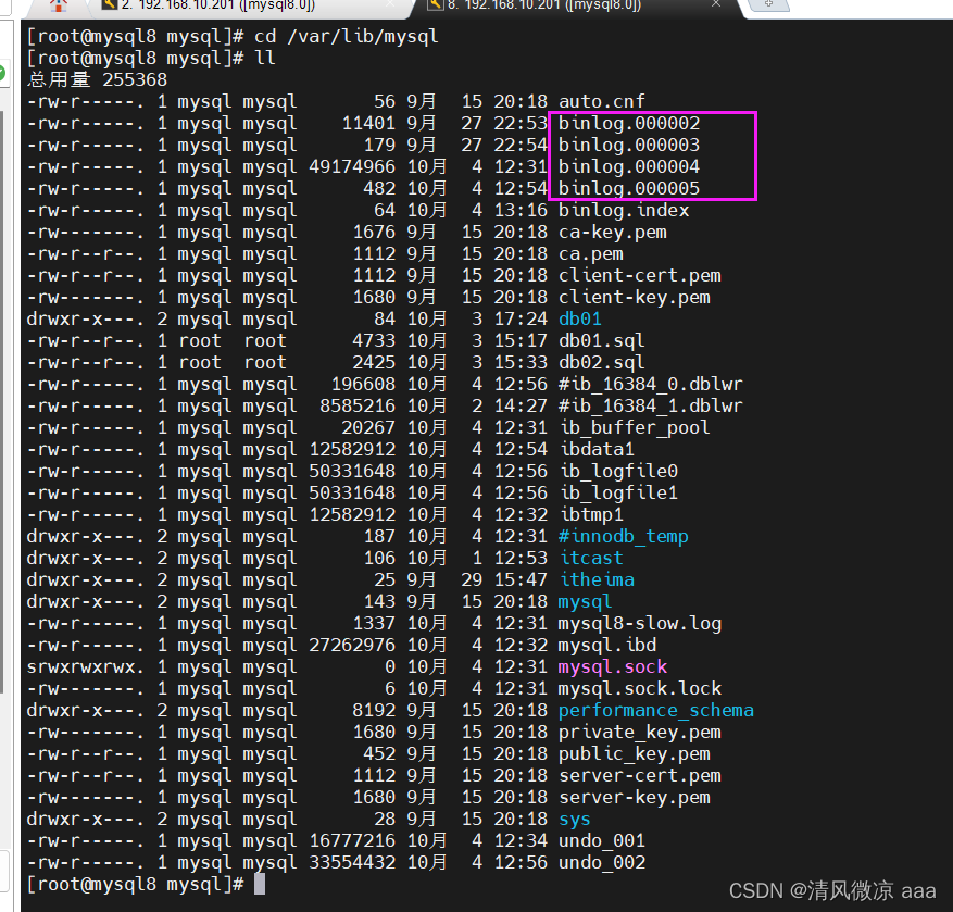 MySql运维篇---008：日志：错误日志、二进制日志、查询日志、慢查询日志，主从复制：概述 虚拟机更改ip注意事项、原理、搭建步骤,在这里插入图片描述,第21张