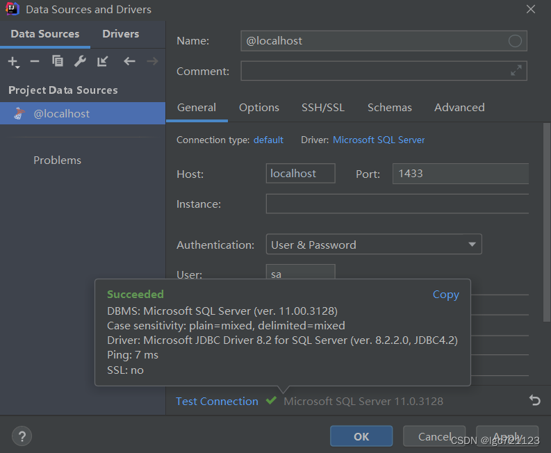 在IDEA上面连接Sql Server教程,第7张