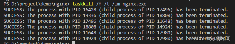 Nginx在Window与Mac环境的使用及配置详情,在这里插入图片描述,第3张