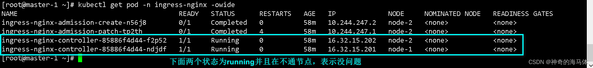 【Kubernetes资源篇】ingress-nginx最佳实践详解,[外链图片转存失败,源站可能有防盗链机制,建议将图片保存下来直接上传(img-bODP7iYg-1690102684603)(D:\MD归档文档\IMG\image-20230723131517381.png)],第4张