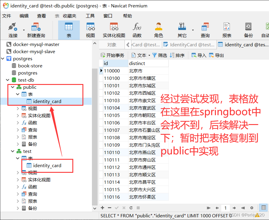 PostgreSQL数据库——Docker版本的postgres安装 & Navicat连接方式+导入向导使用 & SpringBoot结合Jpa使用PostgreSQL初步,在这里插入图片描述,第24张