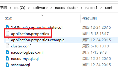 Nacos集群搭建,在这里插入图片描述,第14张