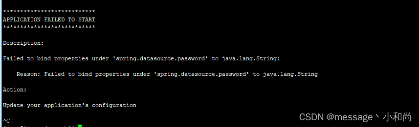Failed to bind properties under ‘spring.datasource.password‘ to java.lang.String,在这里插入图片描述,第1张