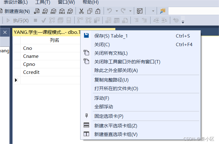 SQL server2022的详细安装流程以及简单使用,第51张