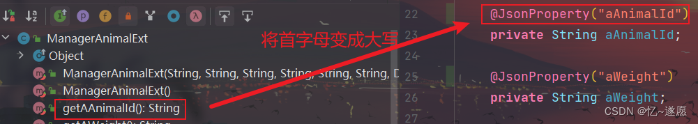 springboot中自定义JavaBean返回的json对象属性名称大写变小写问题,在这里插入图片描述,第3张