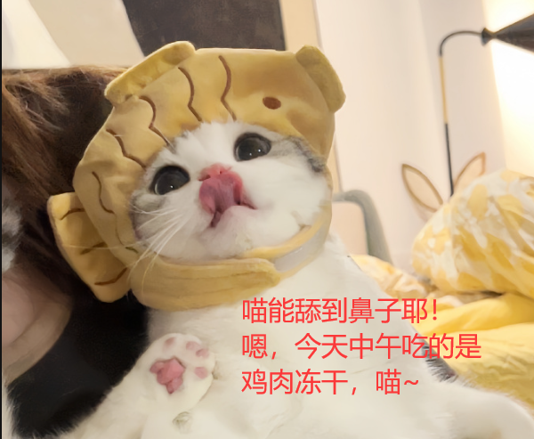 [MySQL]数据库原理2，三大范式，E-R图，DataBase，数据库管理系统（DBMS），Relationship，实体、属性、联系 映射基数，关系型数据库，联系的度数等——喵喵期末不挂科,第1张