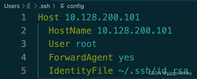 MacOS VSCode 配置远程服务器ssh remote链接，并上传文件文件服务器,第4张