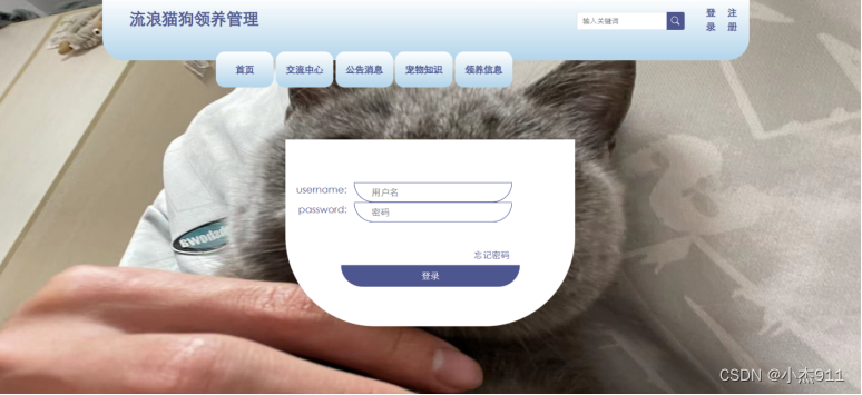 【毕业设计之java系列】基于springboot流浪猫狗领养管理系统,第3张