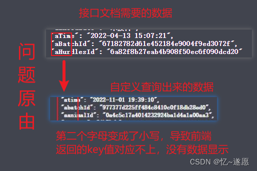 springboot中自定义JavaBean返回的json对象属性名称大写变小写问题,在这里插入图片描述,第1张