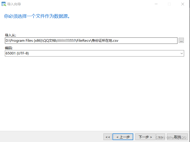 PostgreSQL数据库——Docker版本的postgres安装 & Navicat连接方式+导入向导使用 & SpringBoot结合Jpa使用PostgreSQL初步,在这里插入图片描述,第15张