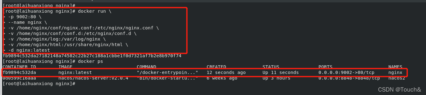 Docker 安装 Nginx 容器 (完整详细版),第5张
