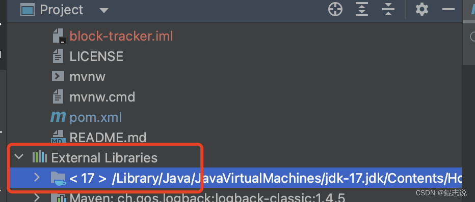 我把springboot项目从Java 8 升级 到了Java 17 的过程总结，愿为君提前踩坑！,在这里插入图片描述,第21张