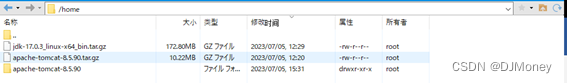 【Linux配置Tomcat和JDK】,在这里插入图片描述,第8张