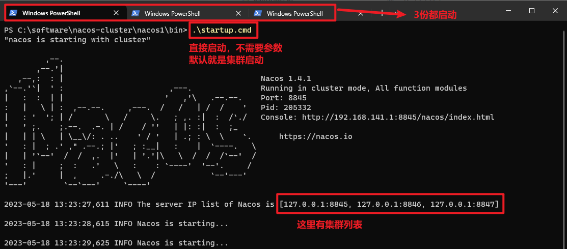 Nacos集群搭建,在这里插入图片描述,第19张