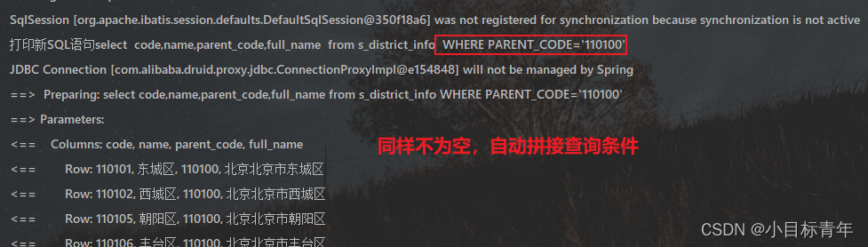 Springboot 自定义 Mybatis拦截器，实现 动态查询条件SQL自动组装拼接（玩具）,第8张