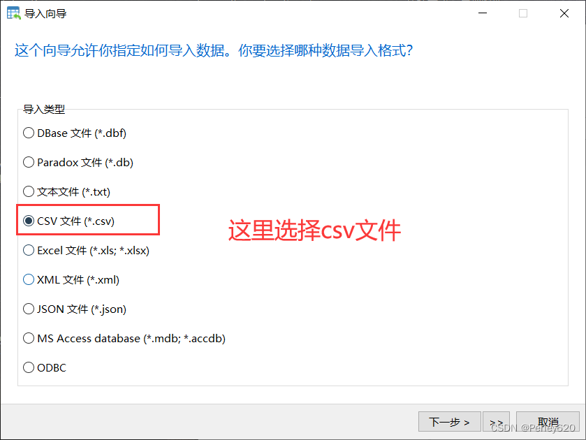 PostgreSQL数据库——Docker版本的postgres安装 & Navicat连接方式+导入向导使用 & SpringBoot结合Jpa使用PostgreSQL初步,在这里插入图片描述,第14张