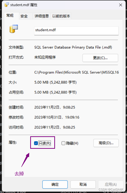 完美解决Window11附加表时: Microsoft SQL Server Management Studio-附加数据库时出错。有关详细信息,请单击“消息”列中,第8张 完美解决Window11附加表时: Microsoft SQL Server Management Studio-附加数据库时出错。有关详细信息,请单击“消息”列中,第8张