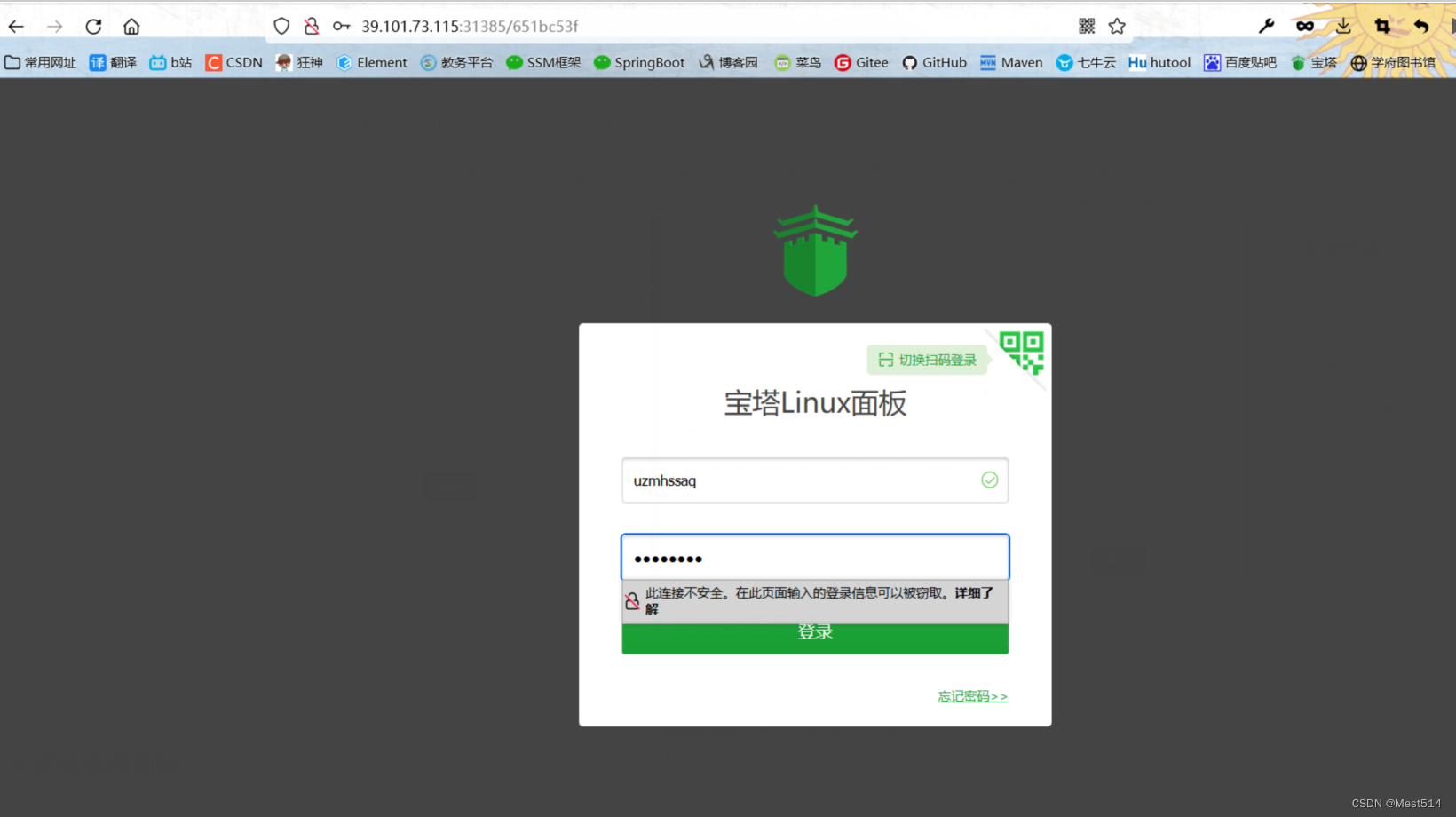 通过宝塔面板部署一个SpringBoot+Vue前后端分离项目的指南（三更）,在这里插入图片描述,第14张