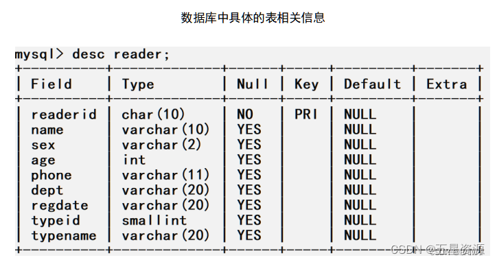 基于Java+Swing+mysql实现图书借阅管理系统--期末大作业（含实训报告）,在这里插入图片描述,第11张