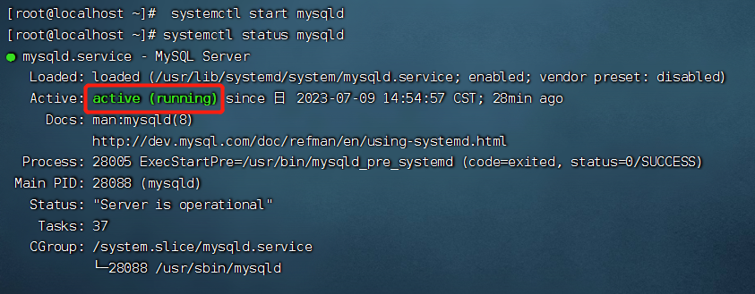 【Linux下MySQL的初始化和配置】,运行并查看状态,第2张