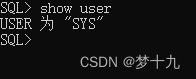 OraclePLSQL数据库基础操作(持续更新),9d4b9b55283d4926a0fe4cbb0cb7c91d.png,第1张