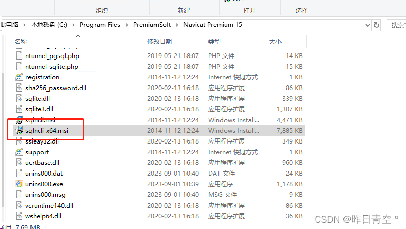 Navicat连接SQL server出现：[IM002] [Microsoft][ODBC 驱动程序管理器] 未发现数据源名称并且未指定默认驱动程序(0),第3张