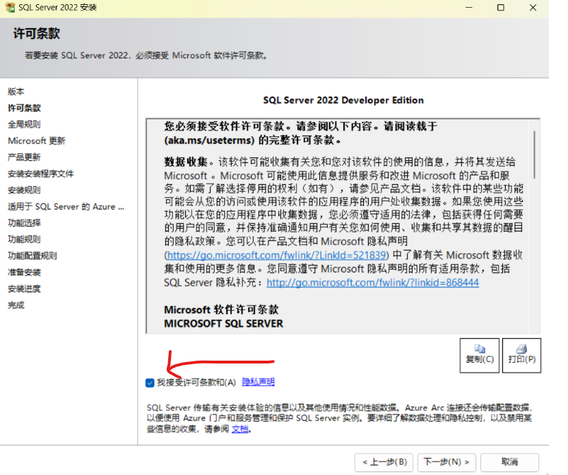 SQL Server2022版+SSMS安装教程（保姆级）,image-20230325150446754,第11张