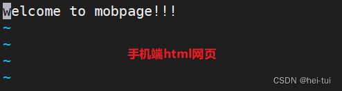 Linux服务——nginx的配置及模块,第8张