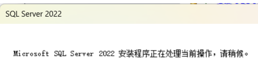 SQL Server2022版+SSMS安装教程（保姆级）,image-20230325150256320,第8张