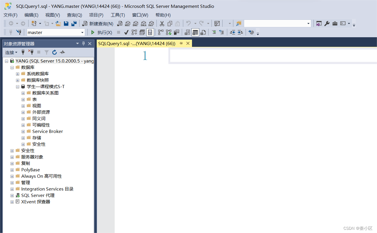 SQL server2022的详细安装流程以及简单使用,第43张