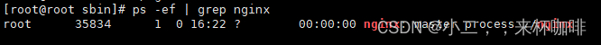 CentOs7安装nginx【详细】,[外链图片转存失败,源站可能有防盗链机制,建议将图片保存下来直接上传(img-RhyO4wZy-1675936376959)(CentOs7搭建mysql主从.assets/image-20230209162536692.png)],第1张