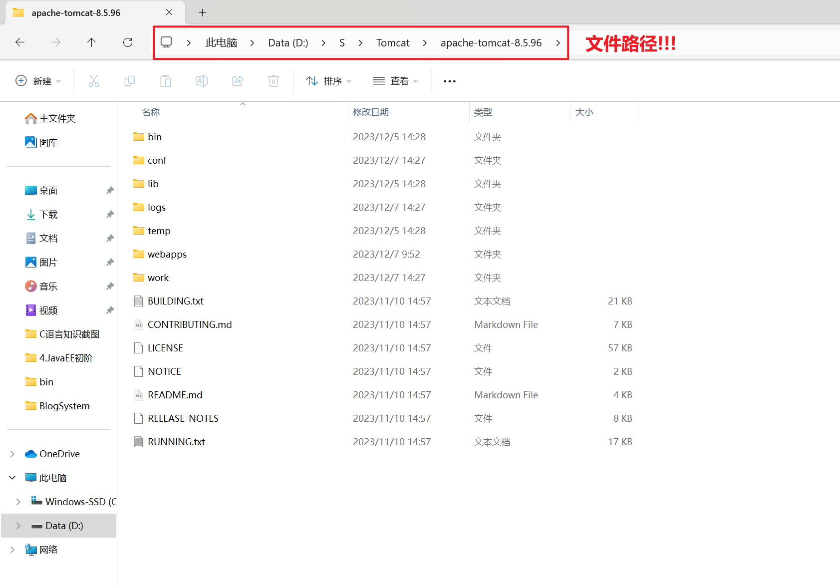 Tomcat的初步学习,image-20231207144240865,第15张