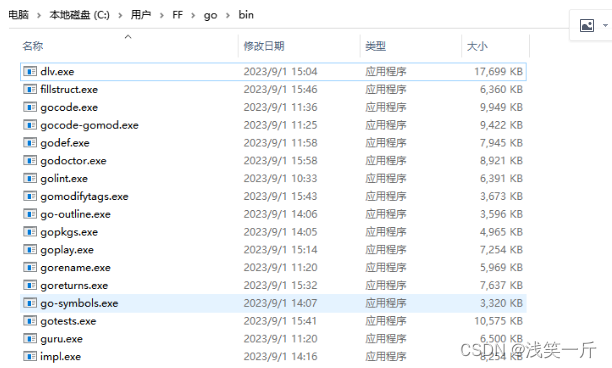vscode上搭建go开发环境,在这里插入图片描述,第6张