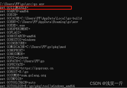 vscode上搭建go开发环境,在这里插入图片描述,第10张