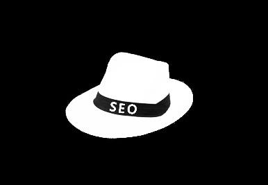 真正白帽SEO网站优化很贵,第1张 真正白帽SEO网站优化很贵,第1张